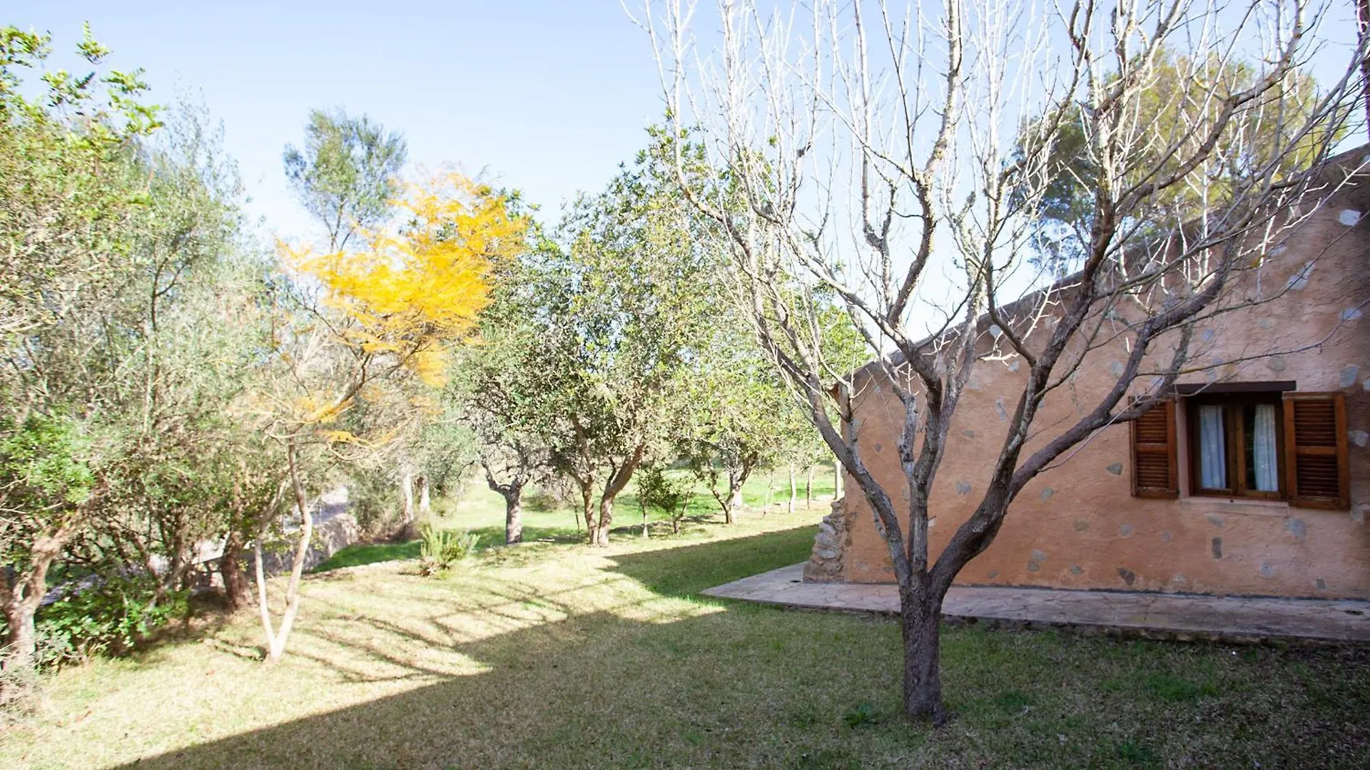 Κατάλυμα σε φάρμα Finca S'Hort De Sa Begura Sant Llorenc Des Cardassar